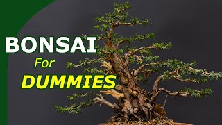 Starting with bonsai made easy (An overview to start growing bonsai)