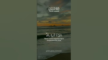 سوره لقمان #قران_كريم #تلاوة_خاشعة #روائع_التلاوة