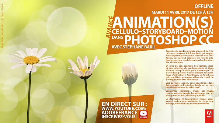 Tutoriel Photoshop Avanc : Animations Cellulo, Sto...