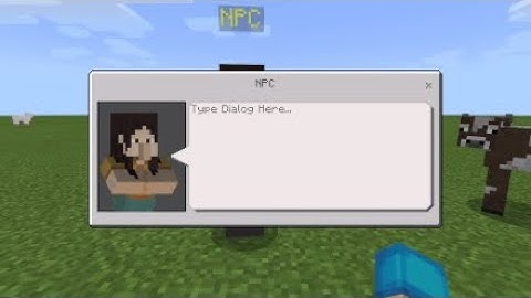 How to get a NPC in Minecraft (NO MODS)