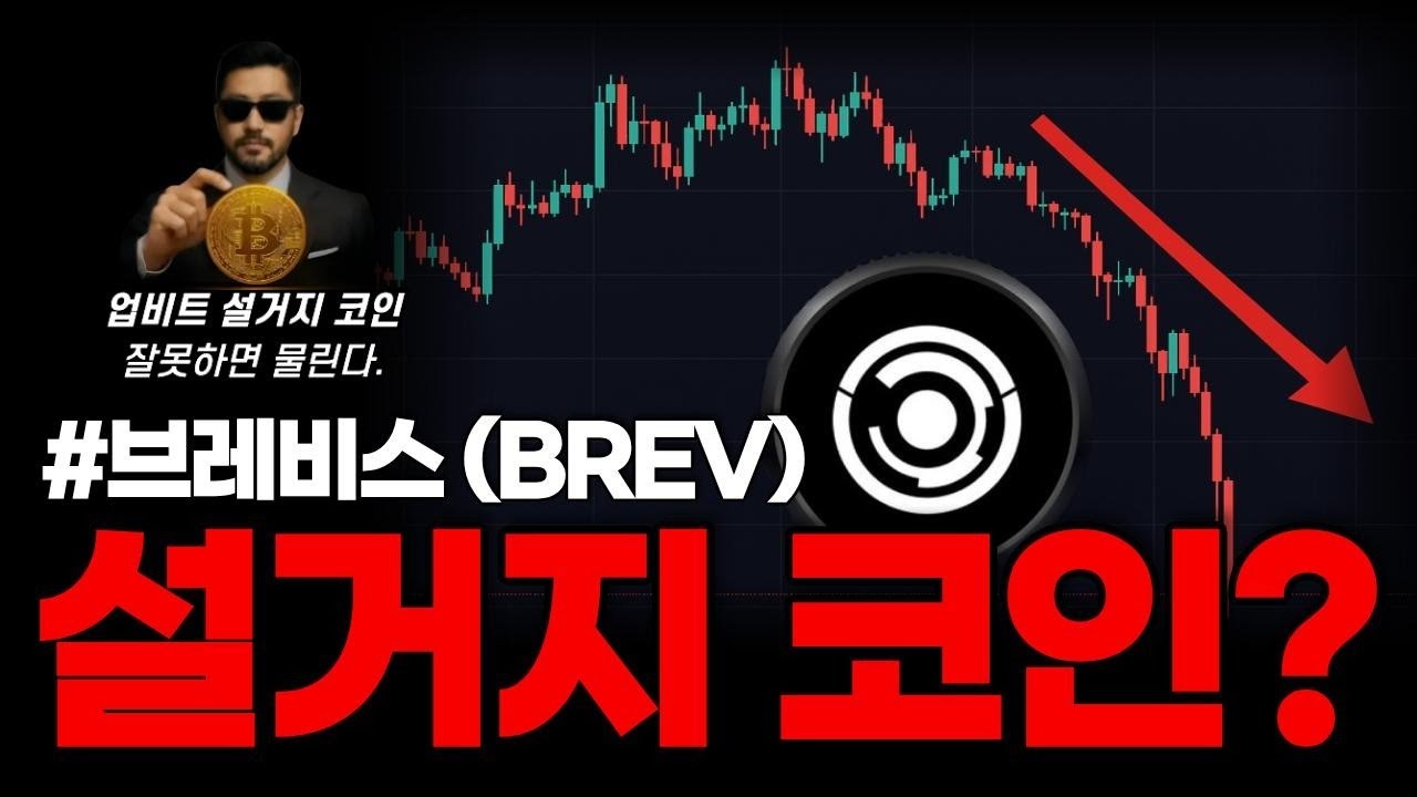 브레비스 설거지 코인? 업비트 설저기 코인, 잘못하면 물린다! 지금이 투자 시점일까? #브레비스 #브레비스전망 - YouTube