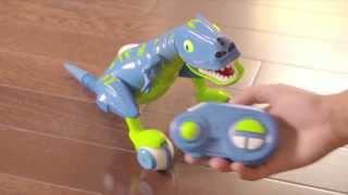 Zoomer | Zoomer Dino 'Jester' | Getting Started!