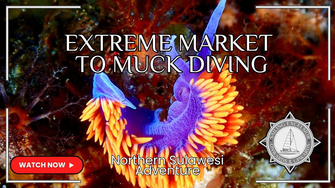 Ep 56 - Manado and Minahasa | SAILING NORTH SULAWESI