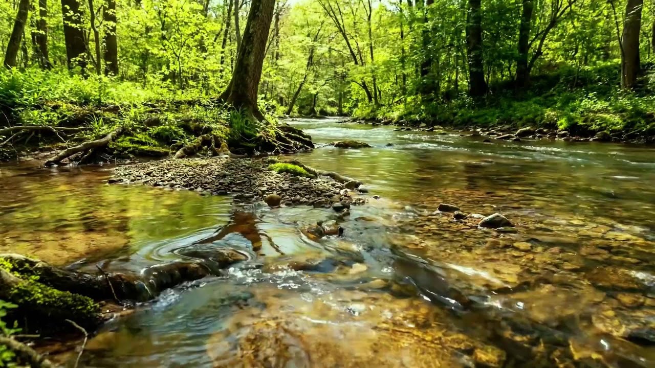 Cool Flowing Stream and Forest Birds in Rainy Weather, Ten Hours of Calming White Noise for ASMR
