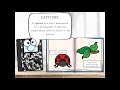 Nonfiction Text Features Quiz