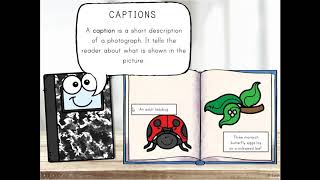 Nonfiction Text Features