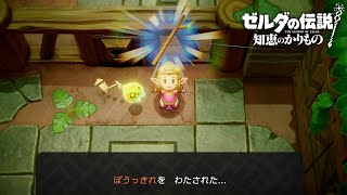 こんなに悲しい事はない【ゼルダの伝説 知恵のかりもの】#13
