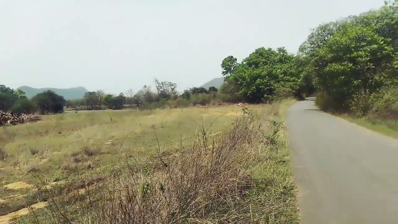 Commercial General Plot For Sell at Kacharu 