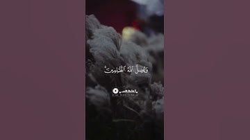 #تلاوات #تلاوات_خاشعة #تلاوات_نادرة #الرياض #تلاوة #تلاوة_خاشعة #تلاوة_مميزة #تلاوة_هادئة #السعودية