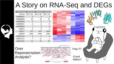A story on RNA-Seq and DEGs