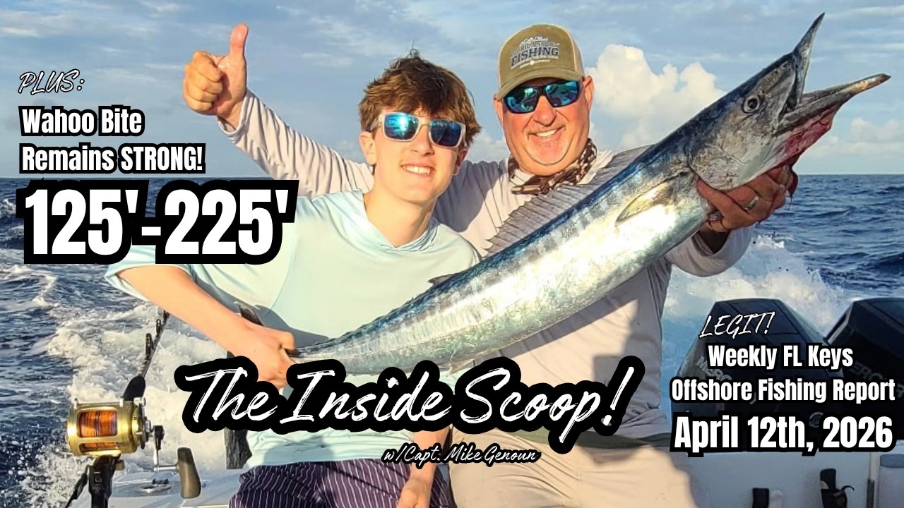 aquarium fish site net Week Aqua ABS Grip Material__Grip Normally you would need Spinning Rod Bass Pro Bait Color:Pink Croaker