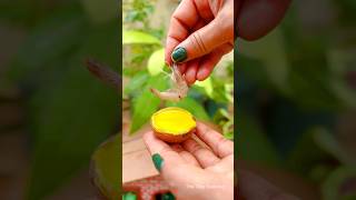 Mini Prawns Deep Fry 😜#trending #trendingshorts #viral #viralshorts #viralvideo #doll #dollhouse