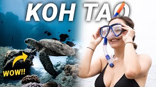 We Found Paradise In Thailand Koh Tao Snorkeling Ferry From Koh Phangan To Koh Tao