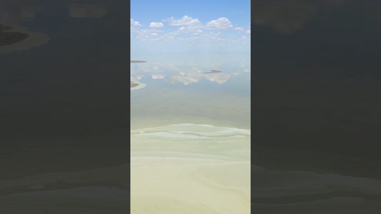 Озеро Шалкар цветет буйным цветом!