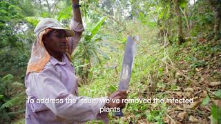 Climate-Smart Agriculture & Climate-Resilient Coffee Plants