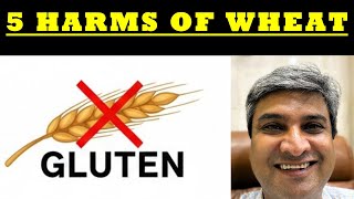 5 Harms Of Wheat