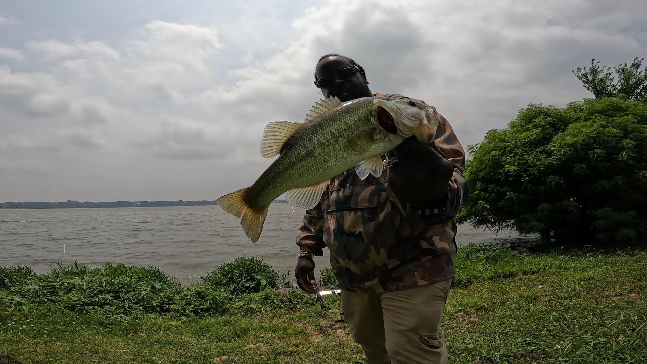 Bank fishing I caught a Bass