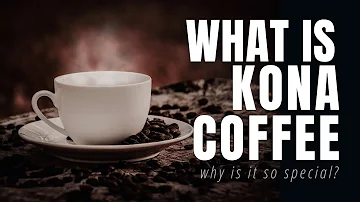 ¿Por qué es tan especial el café de Kona?