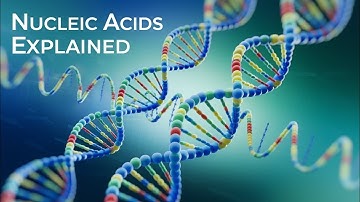 Nucleic Acids: DNA, RNA, Structure, and Functions - 3D Animation for Biology Students"