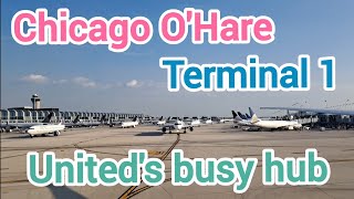 Airport Chicago Ohare - Terminal 1. I Like The Atmosphere And Nice Viewing. Itsnever2Faraway