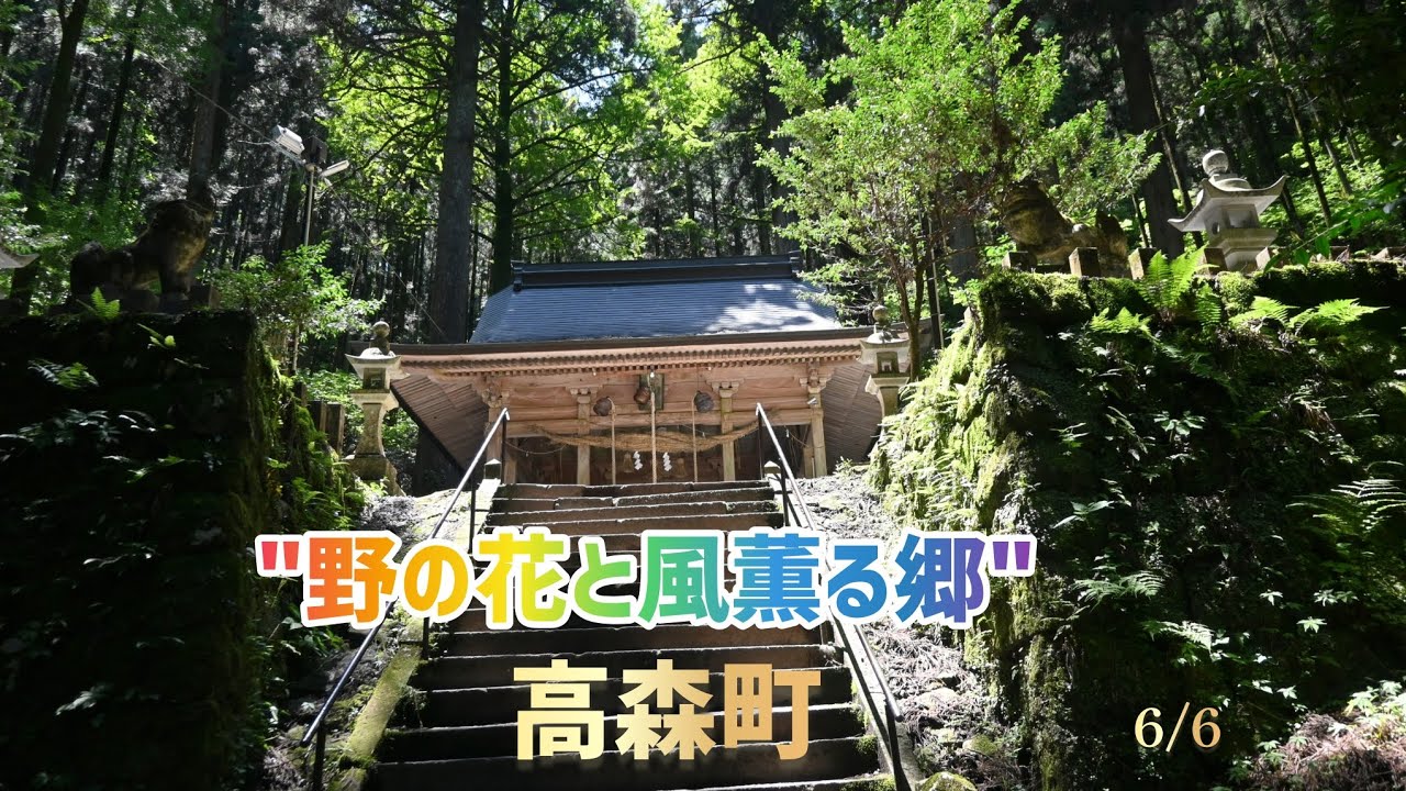 高森町のグルメ盛りだくさん