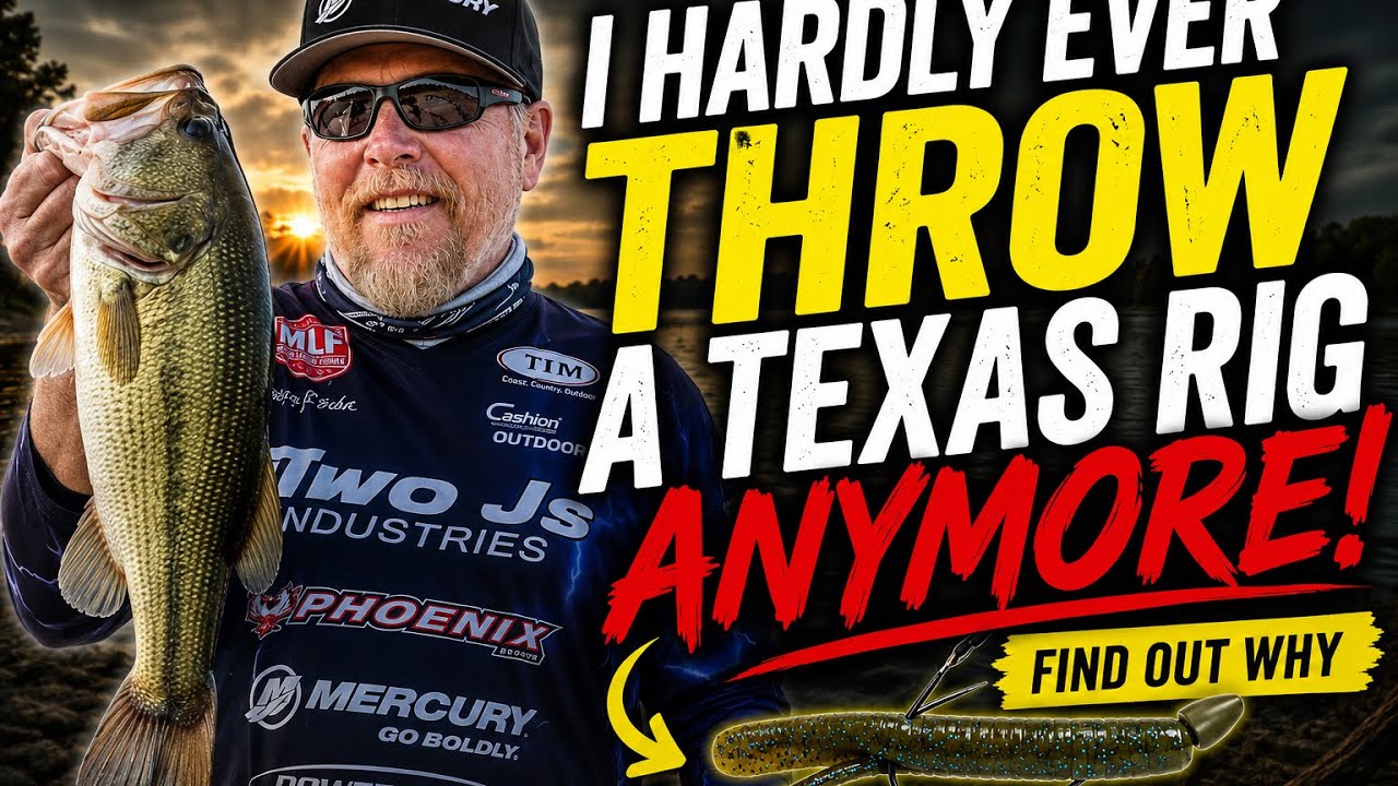 I Hardly Ever Throw a Texas Rig Anymore!