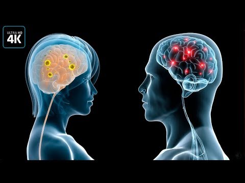 Вот чем отличается мозг мужчин и женщин!