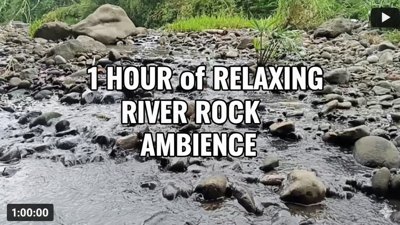 The Ultimate Study Hack: Deep Focus River White Noise