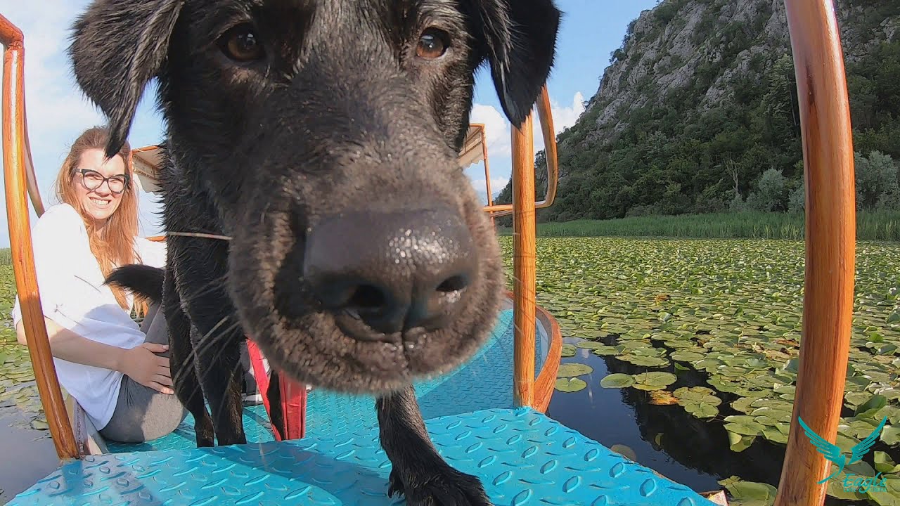 Skadar lake boat trip