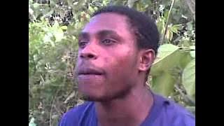 Banci papua