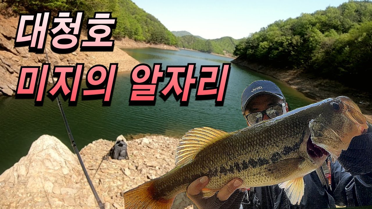 대청호 미지의 알자리 포인트 