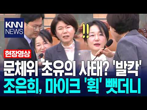 Unprecedented scenes at the Culture Committee? Cho Eun-hee causes a stir, snatches the mic—what d...