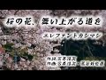 桜の花、舞い上がる道を【エレファントカシマシ】#エレカシ #エレファントカシマシ #宮本浩次 #桜の花舞い上がる道を #歌ってみた
