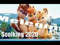 اغنية سولكينغ الجديدة ملاكي بصوت سناجب Soolking Melegim Chipmunks 