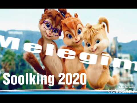 اغنية سولكينغ الجديدة ملاكي بصوت سناجب Soolking Melegim Chipmunks