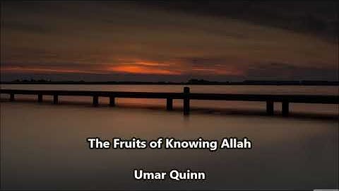 The Fruits of Knowing Allah.... by Umar Quinn
