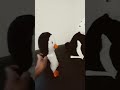 a penguin and son bear at a lemonade stand (duck song) part 1