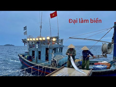 Phần 1 Cùng ghe 6 Hải đi săn cá hố “Sát Thủ Đại Dương “ và cái kết trúng đậm món cá hố 