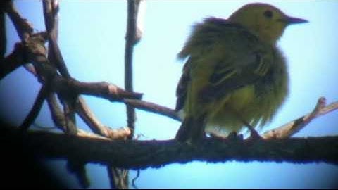 GENETIC EVIDENCE FOR EVOLUTION: HOMOLOGIES OF CELL DIVISION PROTEINS