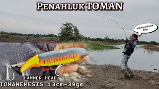 FISHING WITH Putra Tambusai IN MUDA FOREST || FISHING FOR TOMAN