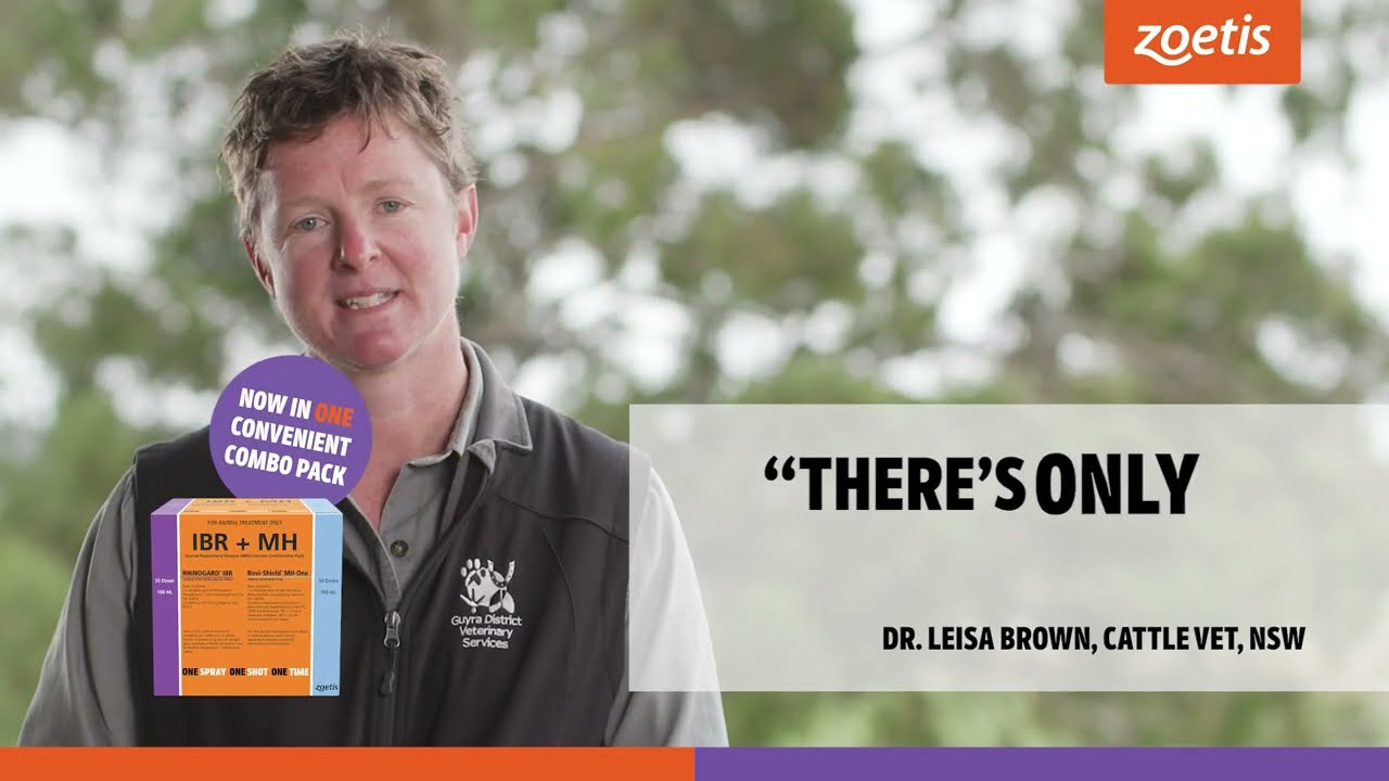 Dr Leisa Brown, Cattle Vet (NSW), on Rhinogard IBR and Bovi-Shield MH-One.