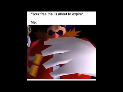 YOU FOOL I