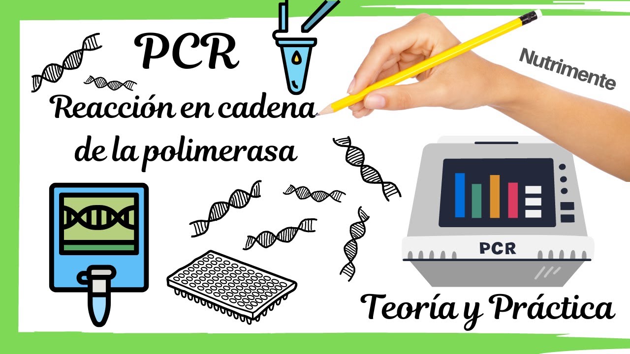 Cuantos test hay que hacer para aprobar el teorico