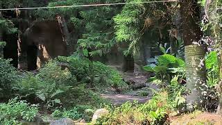 1120403蘋果魚🍎🐠Zora&Kiki‖動物園遊記‖臺北市立動物園Zoo‖13