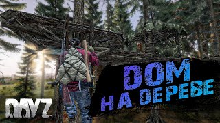 : Dayz |    .     