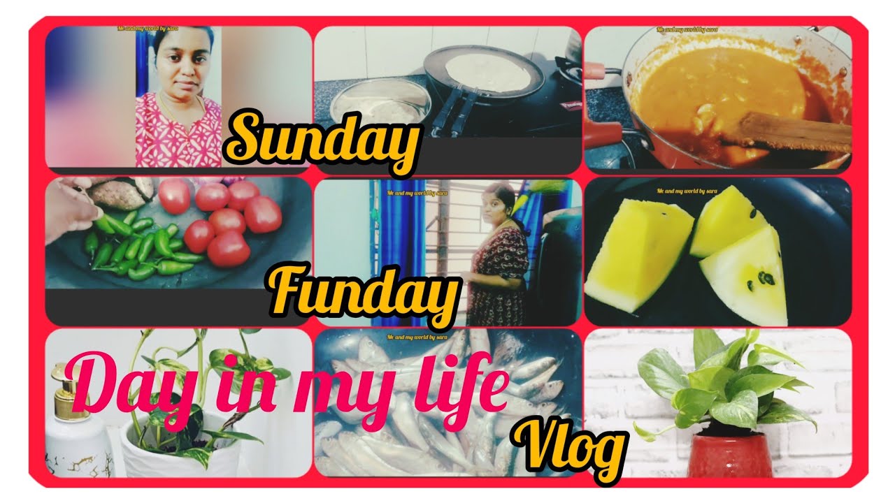 ️Sunday fun day vlog ️A day in my life vlog #home #vlog #🎉 #dayinmylife ...