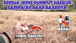 Semua Jenis Rumput Hancur Sampai Ke Akar akarnya