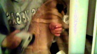 Capture 20120203 1