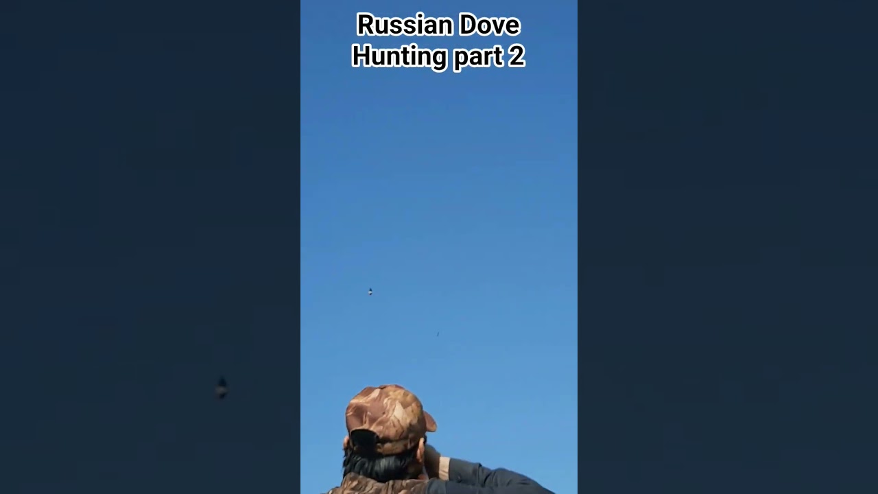 Russian Dove Hunting part 2 