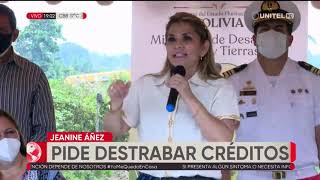 Jeanine Llama Mezquina A La Alp Que Controla El Mas